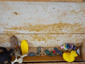Some of our 'beach treasure'